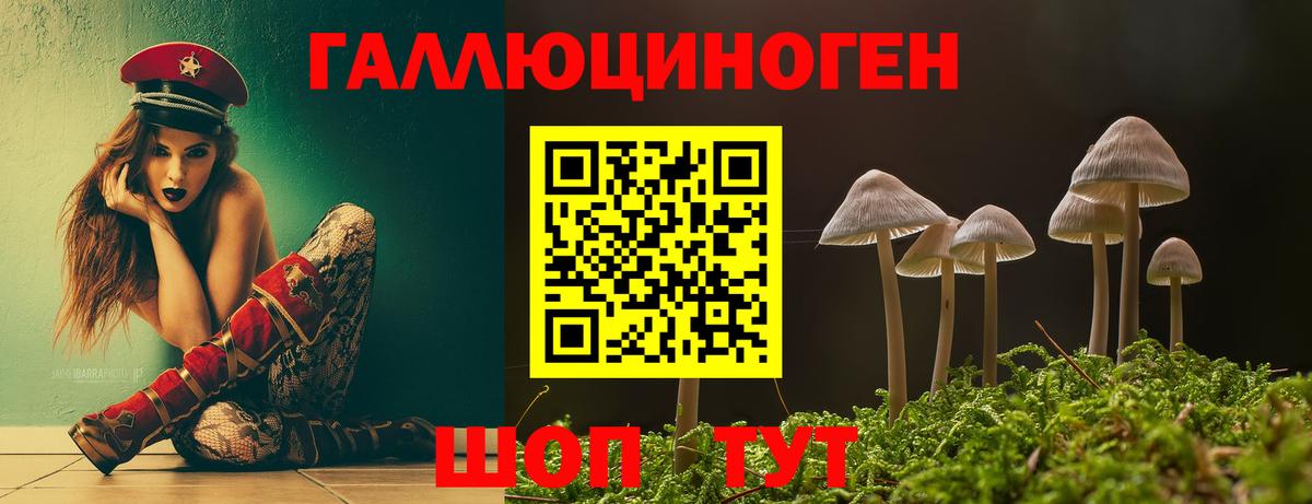 Галлюциногенные грибы Psilocybe  Вход с VPN  Кохма  где найти наркотики  Псилоцибиновые грибы ЛСД 